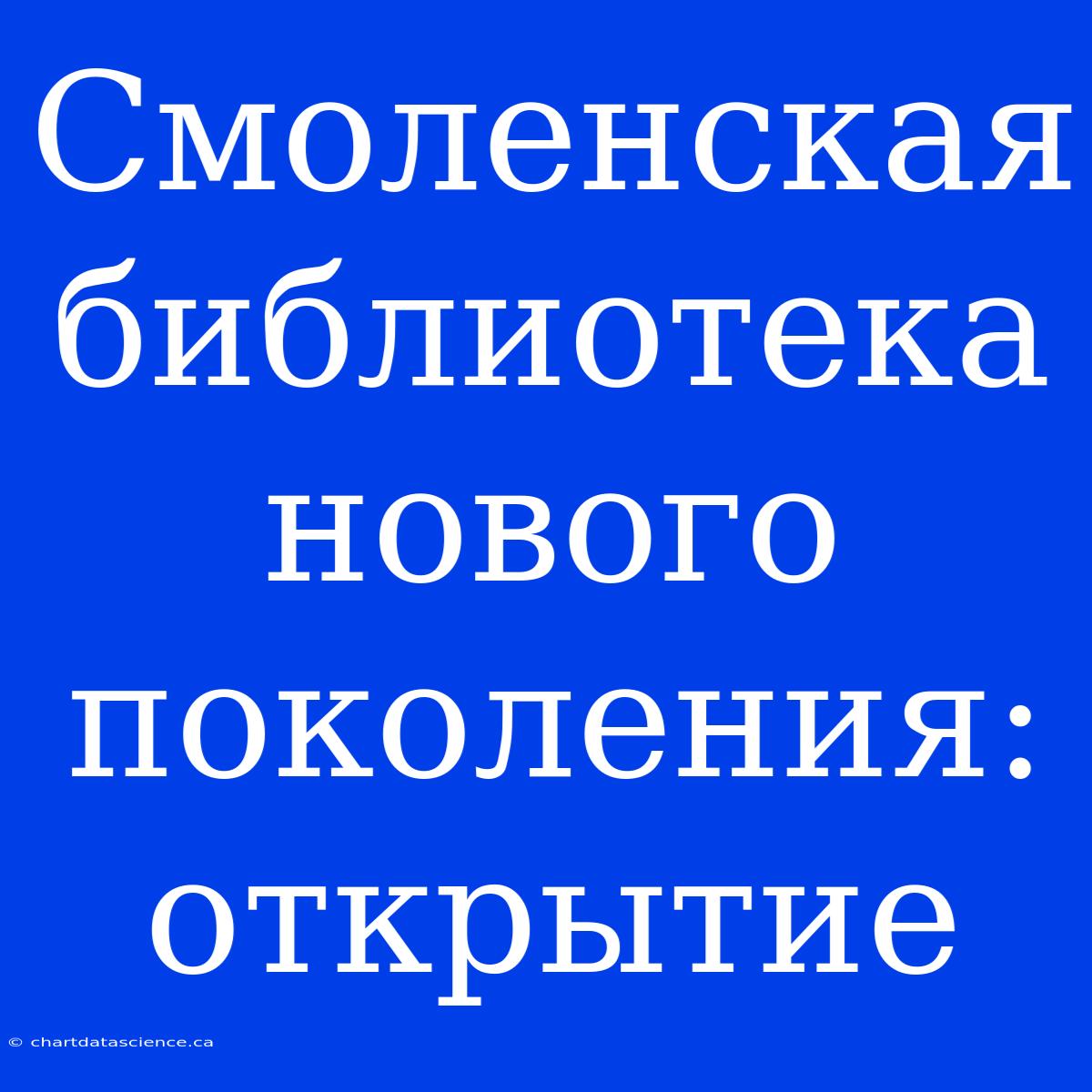 Смоленская Библиотека Нового Поколения: Открытие