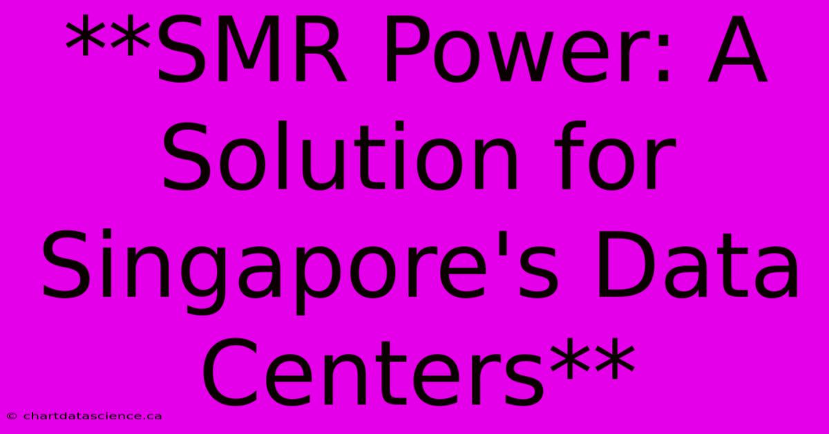 **SMR Power: A Solution For Singapore's Data Centers**