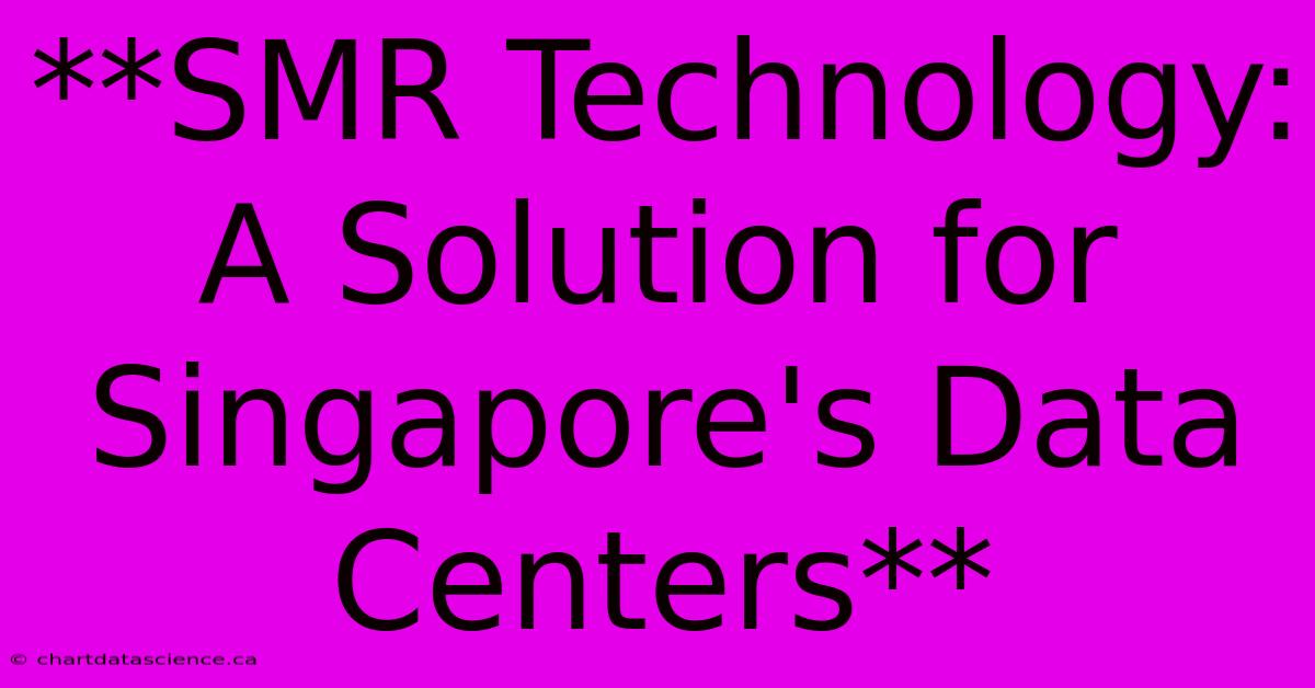 **SMR Technology: A Solution For Singapore's Data Centers**