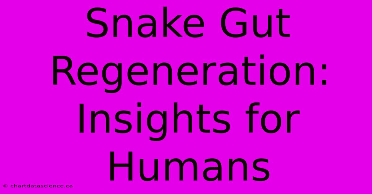 Snake Gut Regeneration: Insights For Humans