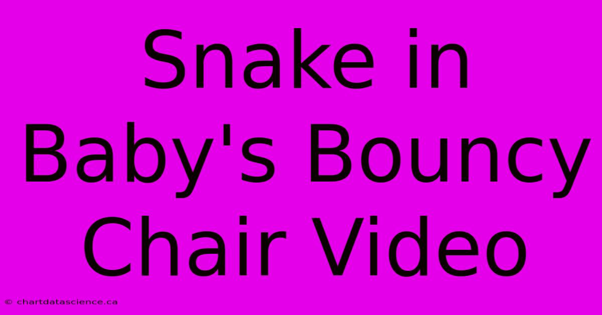 Snake In Baby's Bouncy Chair Video