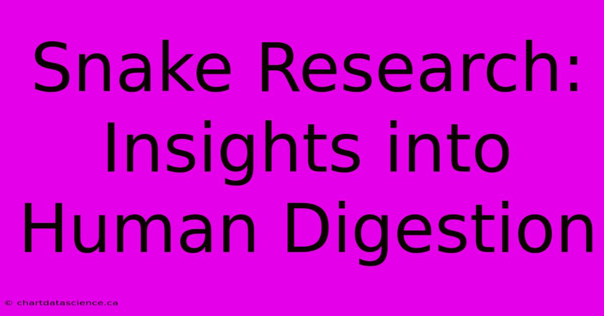 Snake Research: Insights Into Human Digestion