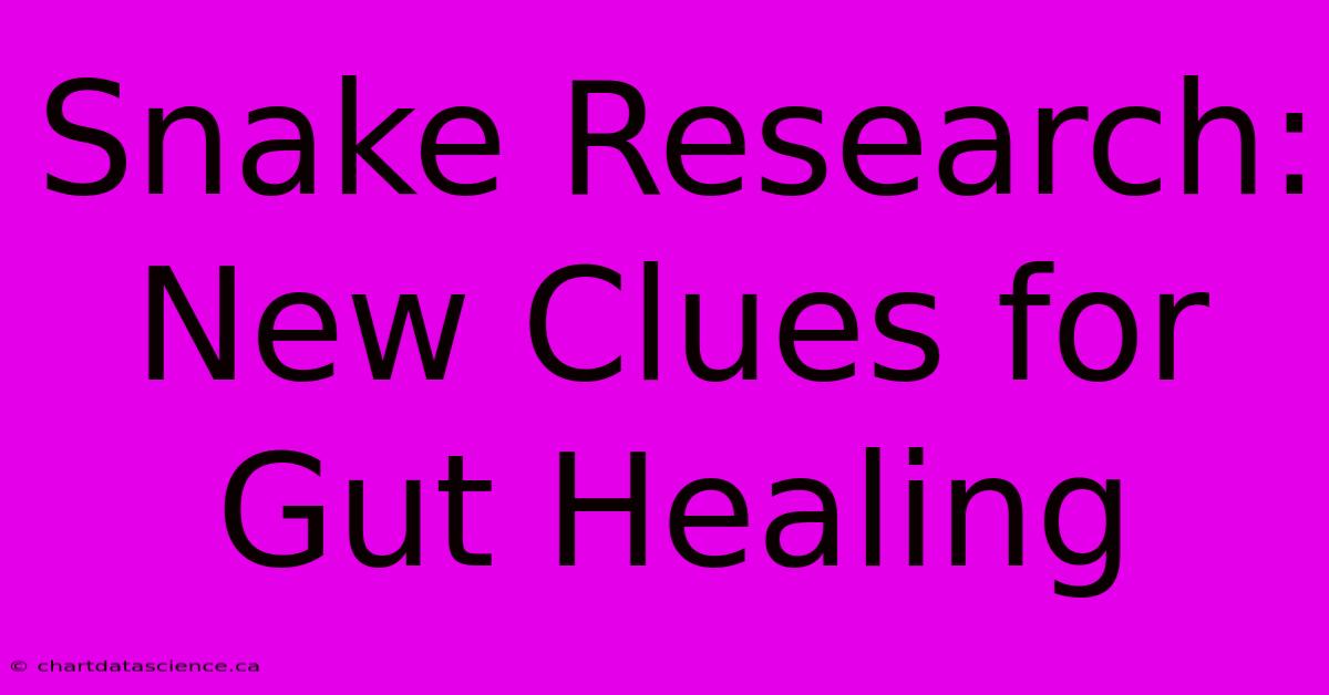 Snake Research: New Clues For Gut Healing