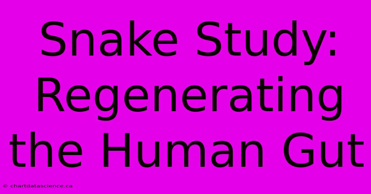 Snake Study:  Regenerating The Human Gut