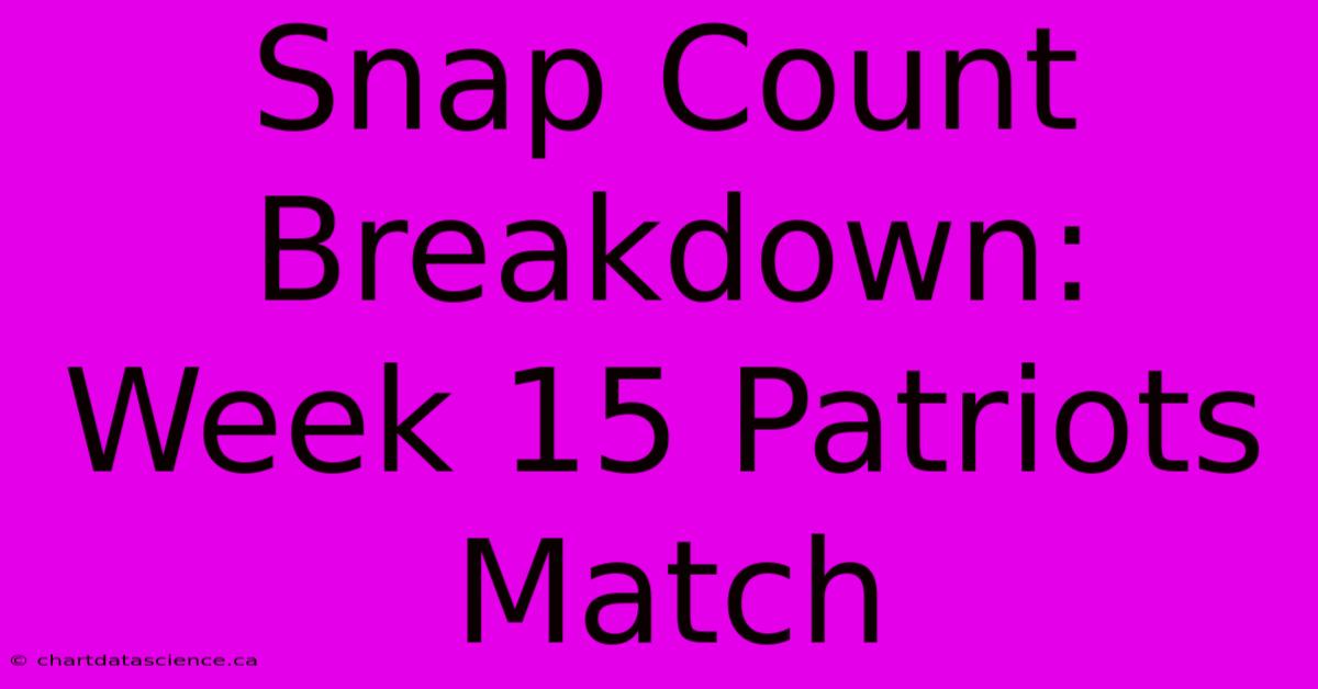 Snap Count Breakdown: Week 15 Patriots Match