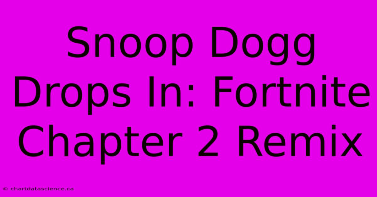 Snoop Dogg Drops In: Fortnite Chapter 2 Remix