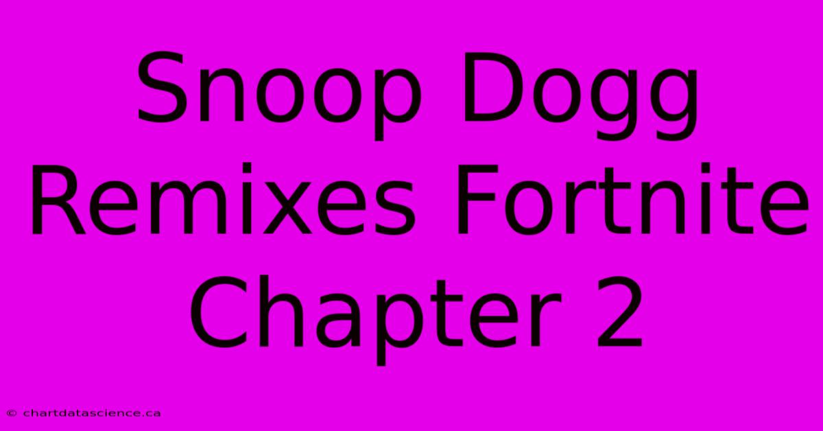 Snoop Dogg Remixes Fortnite Chapter 2 