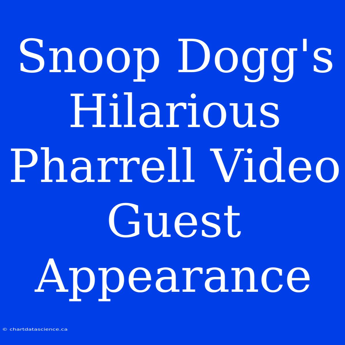 Snoop Dogg's Hilarious Pharrell Video Guest Appearance