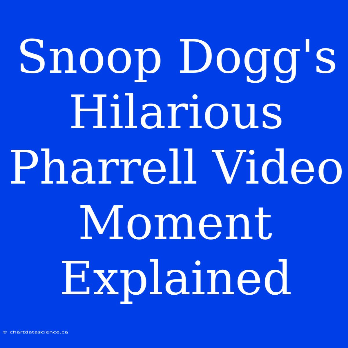 Snoop Dogg's Hilarious Pharrell Video Moment Explained