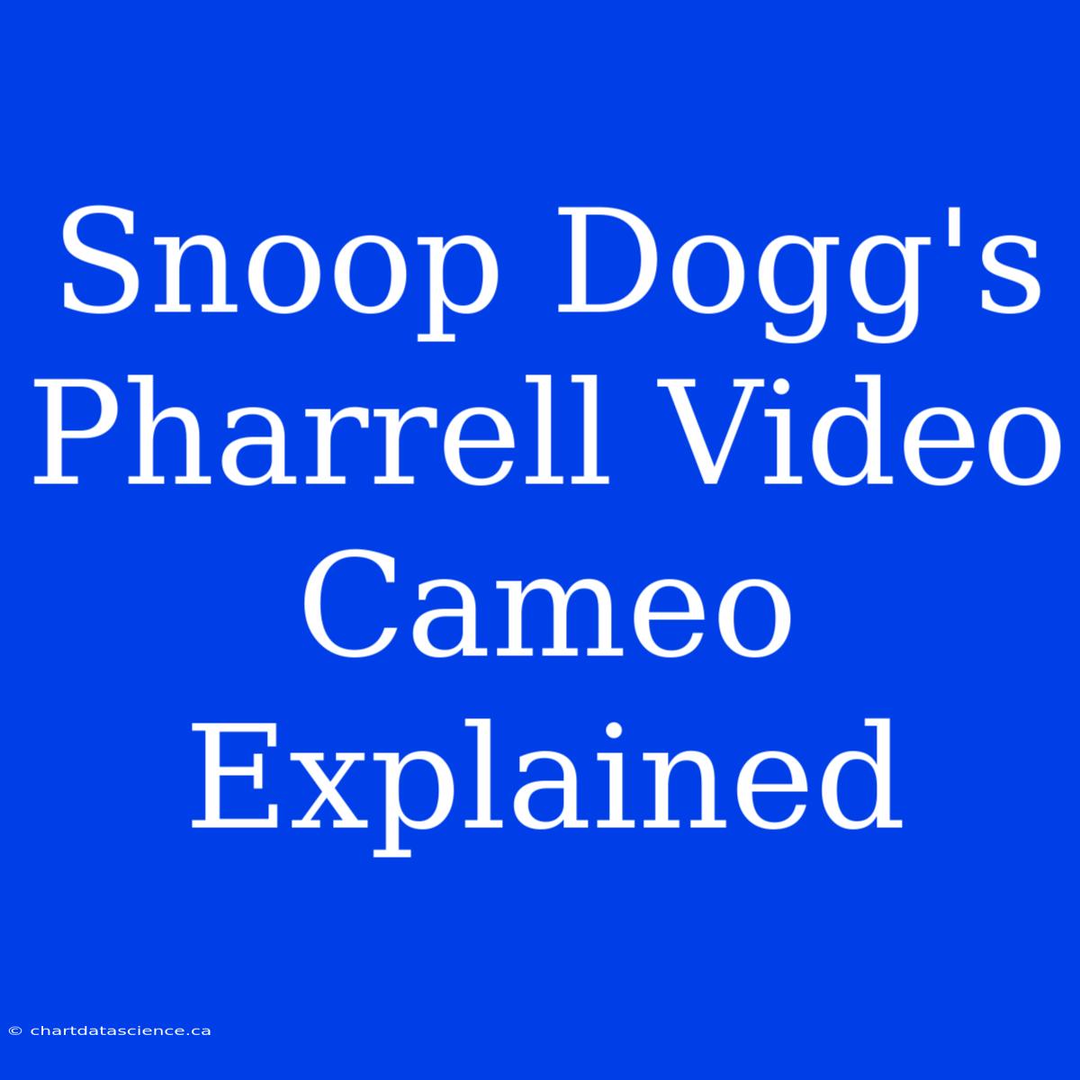 Snoop Dogg's Pharrell Video Cameo Explained