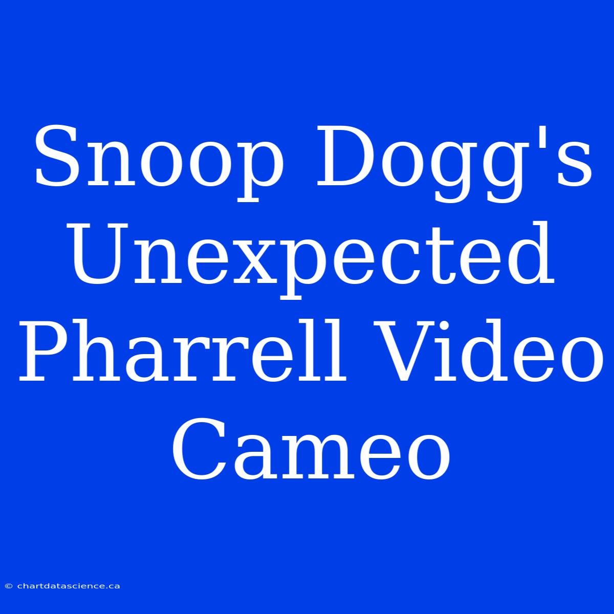 Snoop Dogg's Unexpected Pharrell Video Cameo