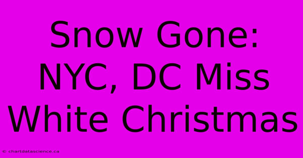 Snow Gone: NYC, DC Miss White Christmas