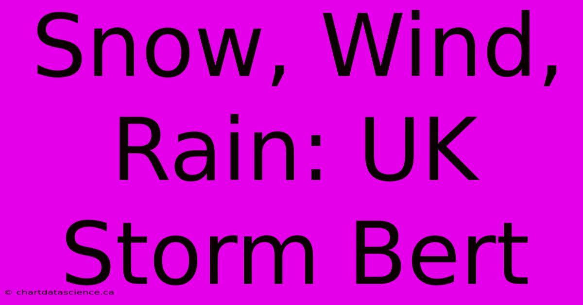 Snow, Wind, Rain: UK Storm Bert