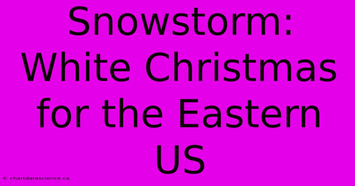 Snowstorm: White Christmas For The Eastern US