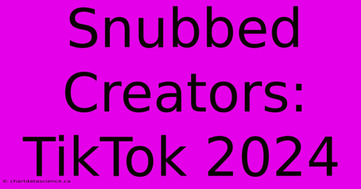 Snubbed Creators: TikTok 2024