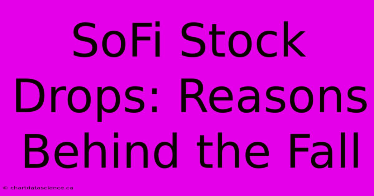 SoFi Stock Drops: Reasons Behind The Fall