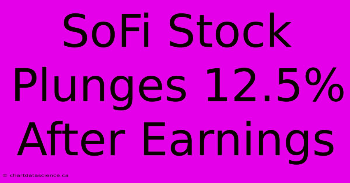 SoFi Stock Plunges 12.5% After Earnings