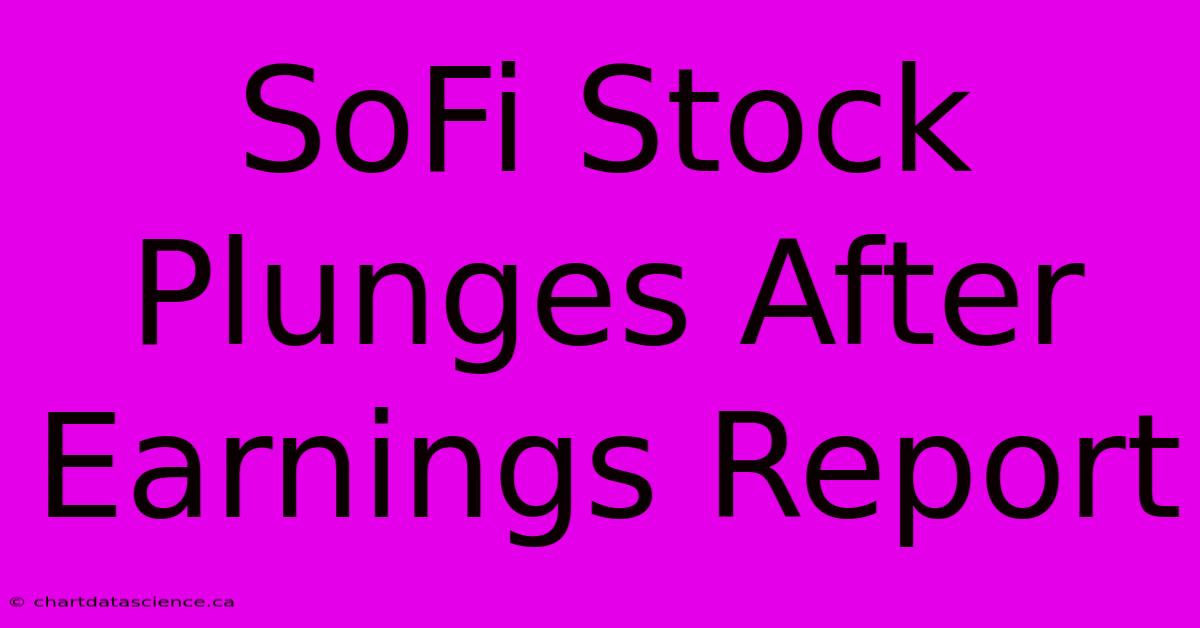 SoFi Stock Plunges After Earnings Report