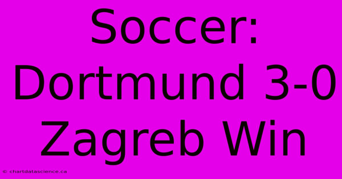 Soccer: Dortmund 3-0 Zagreb Win