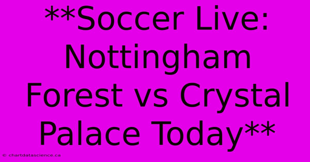 **Soccer Live: Nottingham Forest Vs Crystal Palace Today**