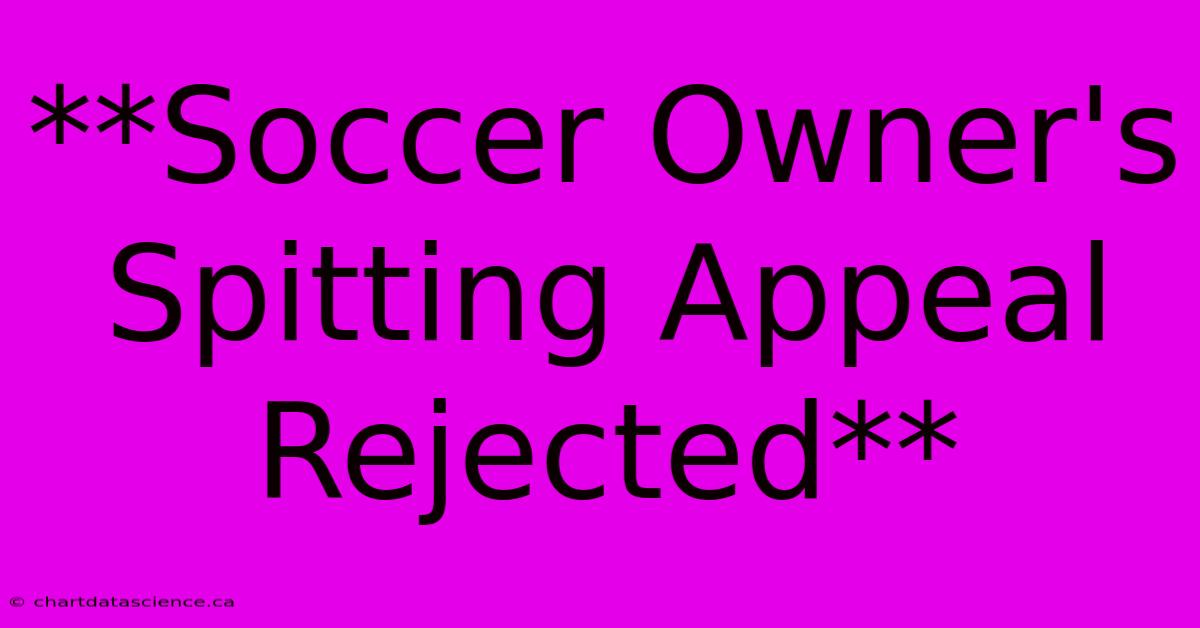 **Soccer Owner's Spitting Appeal Rejected**