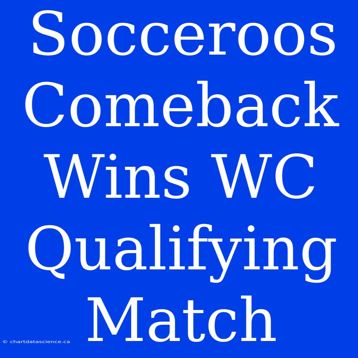 Socceroos Comeback Wins WC Qualifying Match