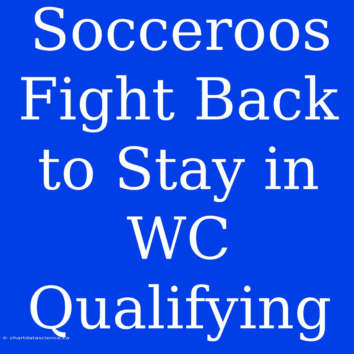 Socceroos Fight Back To Stay In WC Qualifying