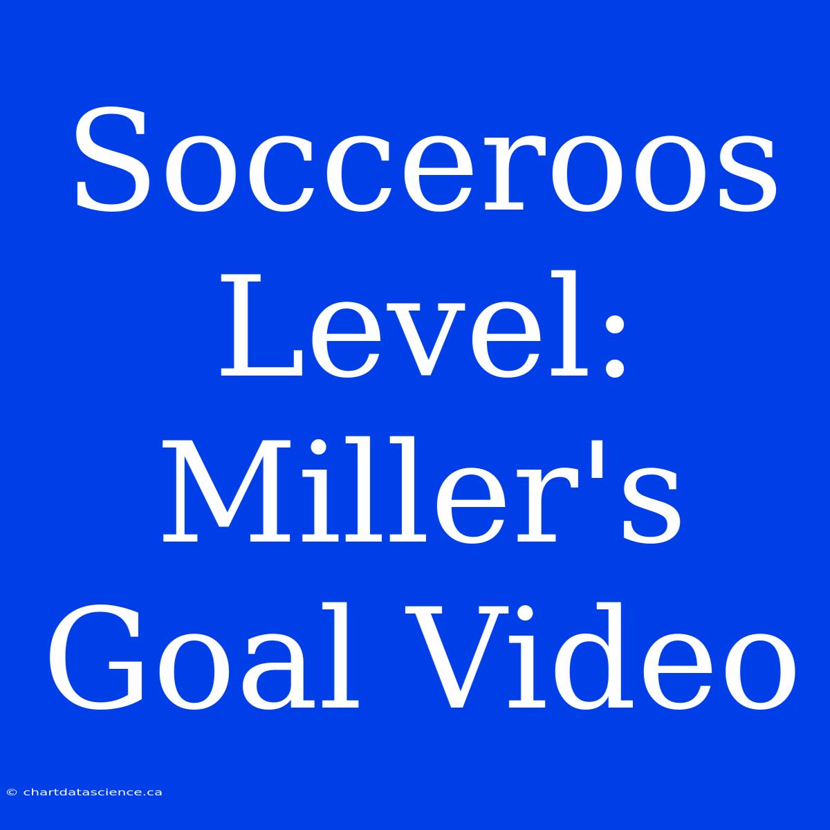 Socceroos Level: Miller's Goal Video