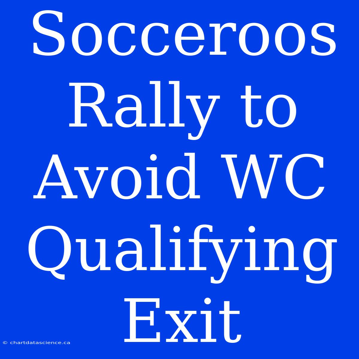 Socceroos Rally To Avoid WC Qualifying Exit