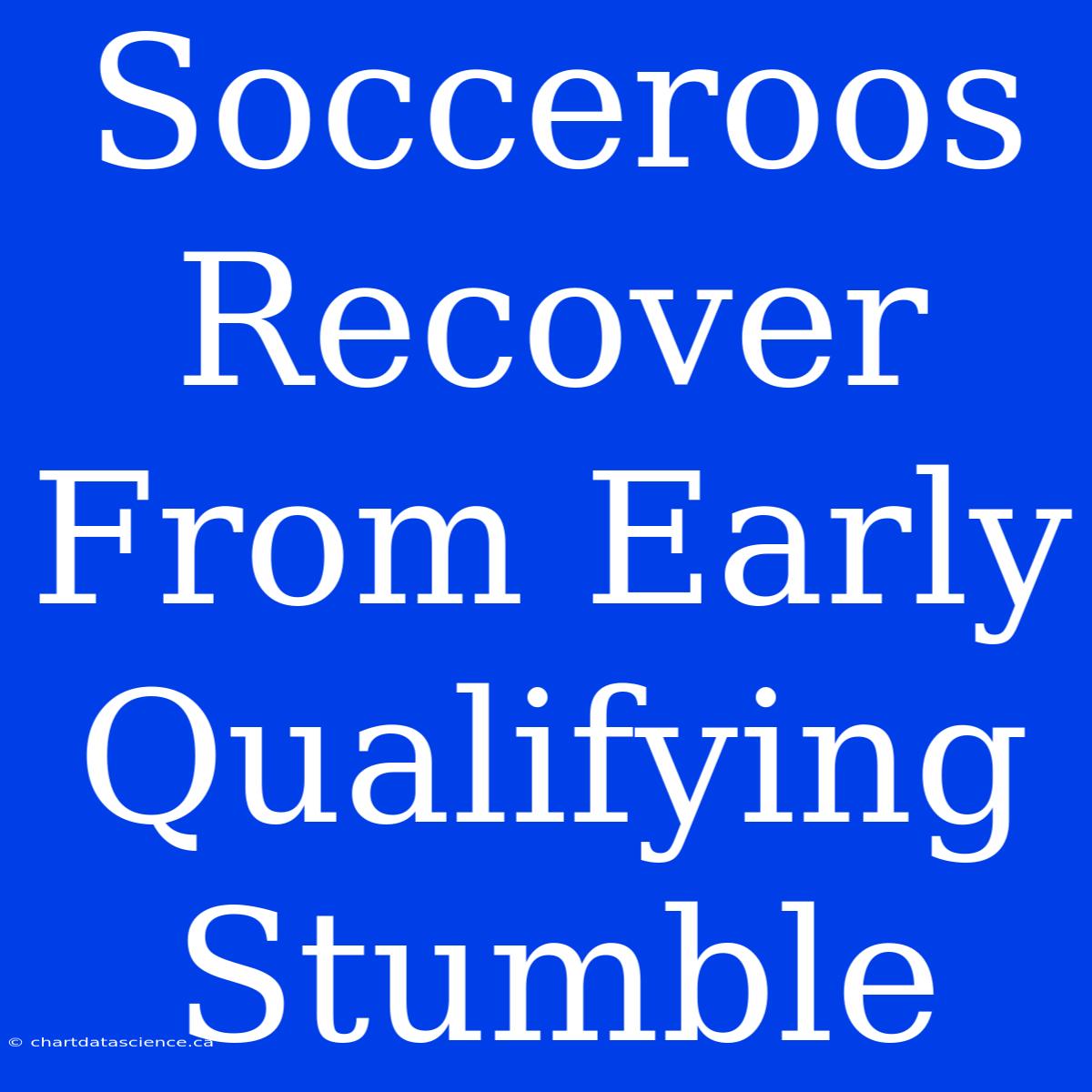 Socceroos Recover From Early Qualifying Stumble