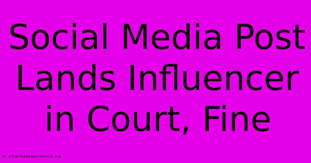 Social Media Post Lands Influencer In Court, Fine