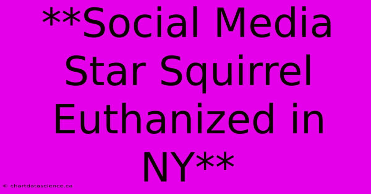 **Social Media Star Squirrel Euthanized In NY**