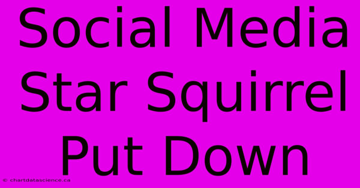 Social Media Star Squirrel Put Down 