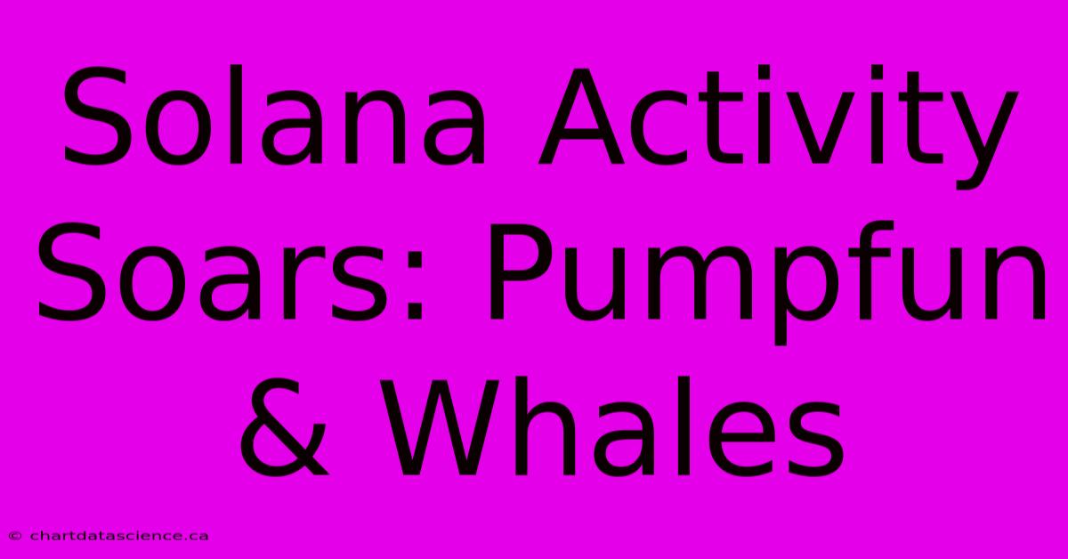 Solana Activity Soars: Pumpfun & Whales