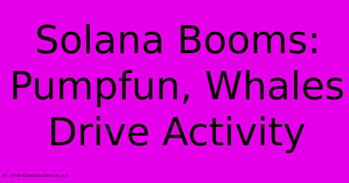 Solana Booms: Pumpfun, Whales Drive Activity