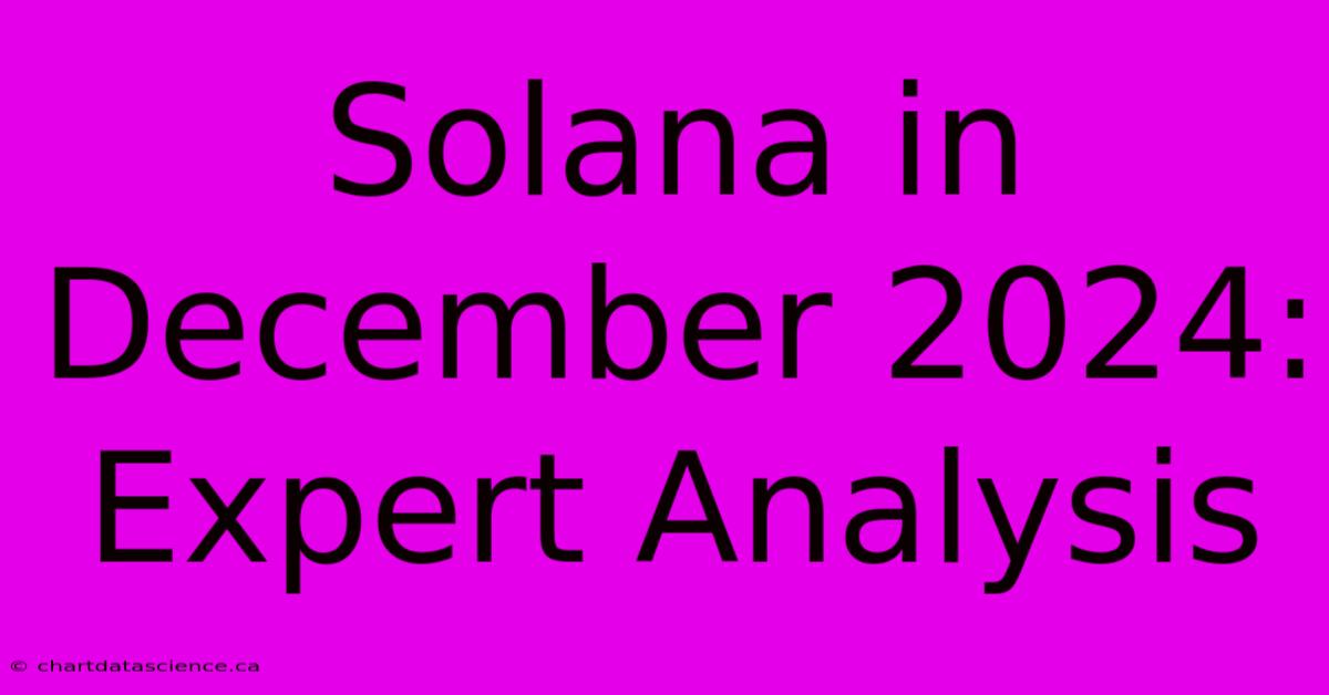 Solana In December 2024: Expert Analysis