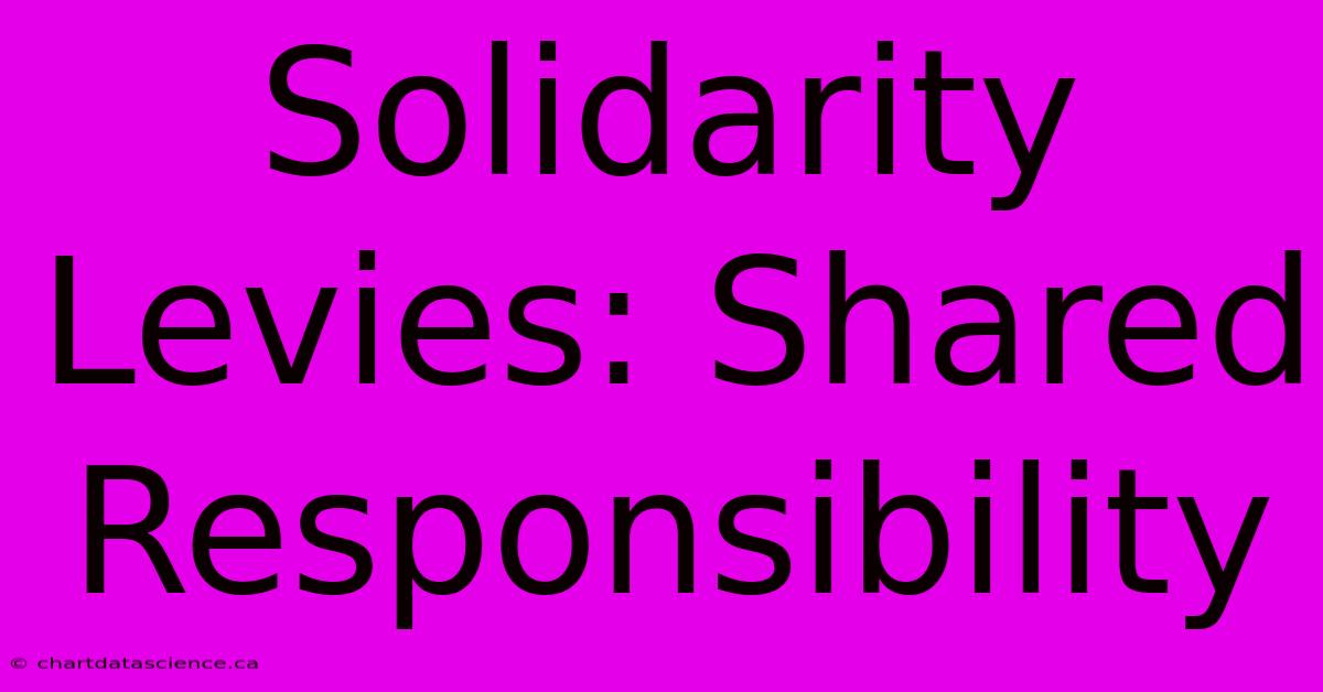 Solidarity Levies: Shared Responsibility