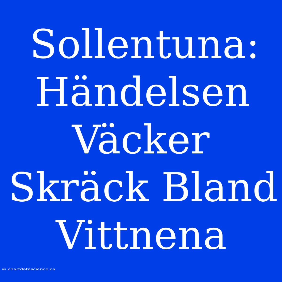 Sollentuna: Händelsen Väcker Skräck Bland Vittnena