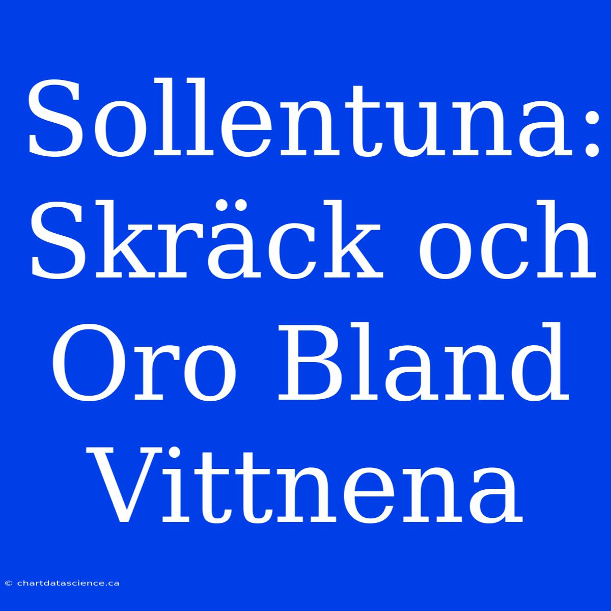 Sollentuna: Skräck Och Oro Bland Vittnena