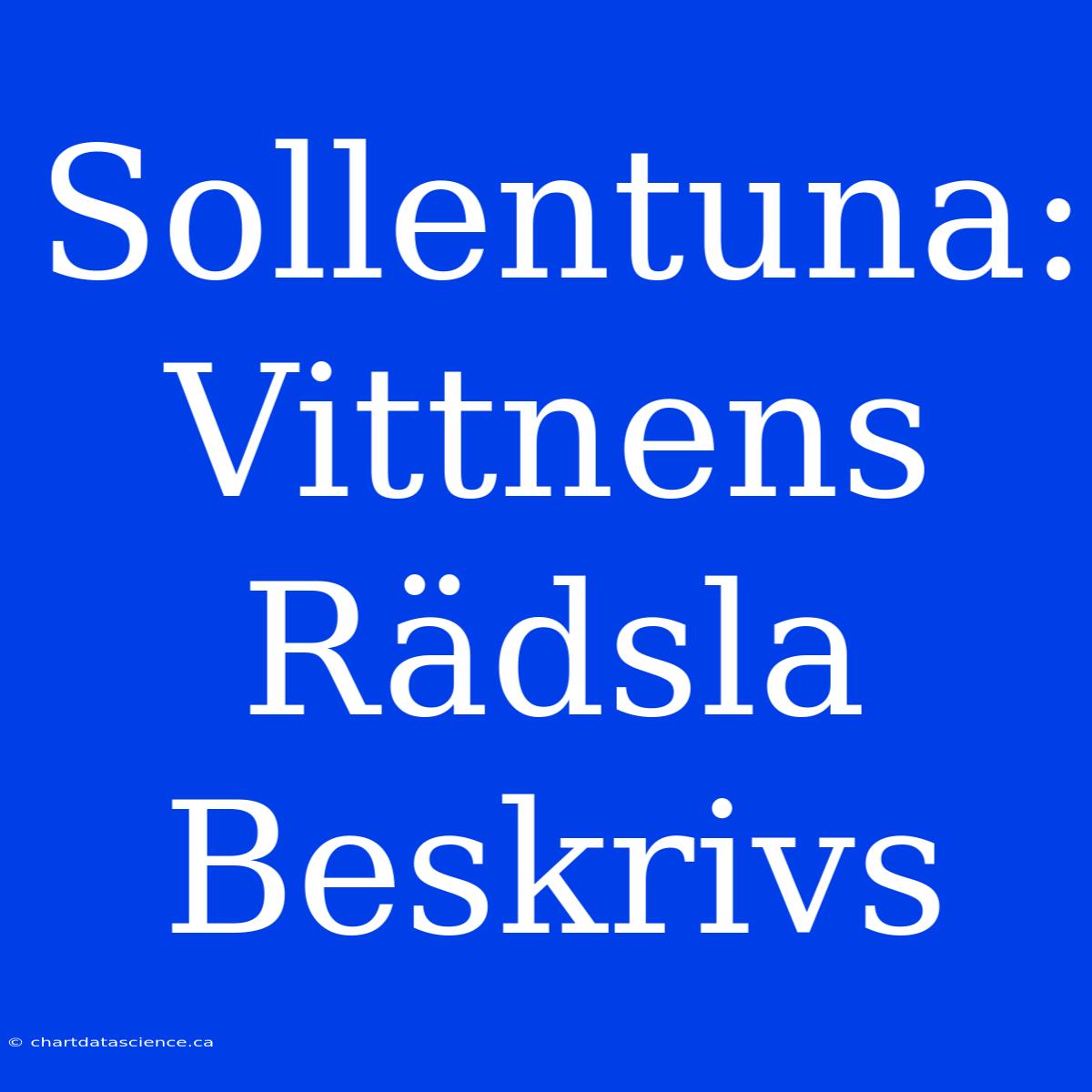 Sollentuna: Vittnens Rädsla Beskrivs