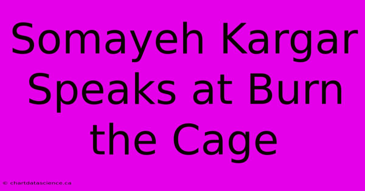 Somayeh Kargar Speaks At Burn The Cage