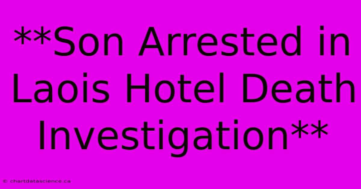 **Son Arrested In Laois Hotel Death Investigation** 