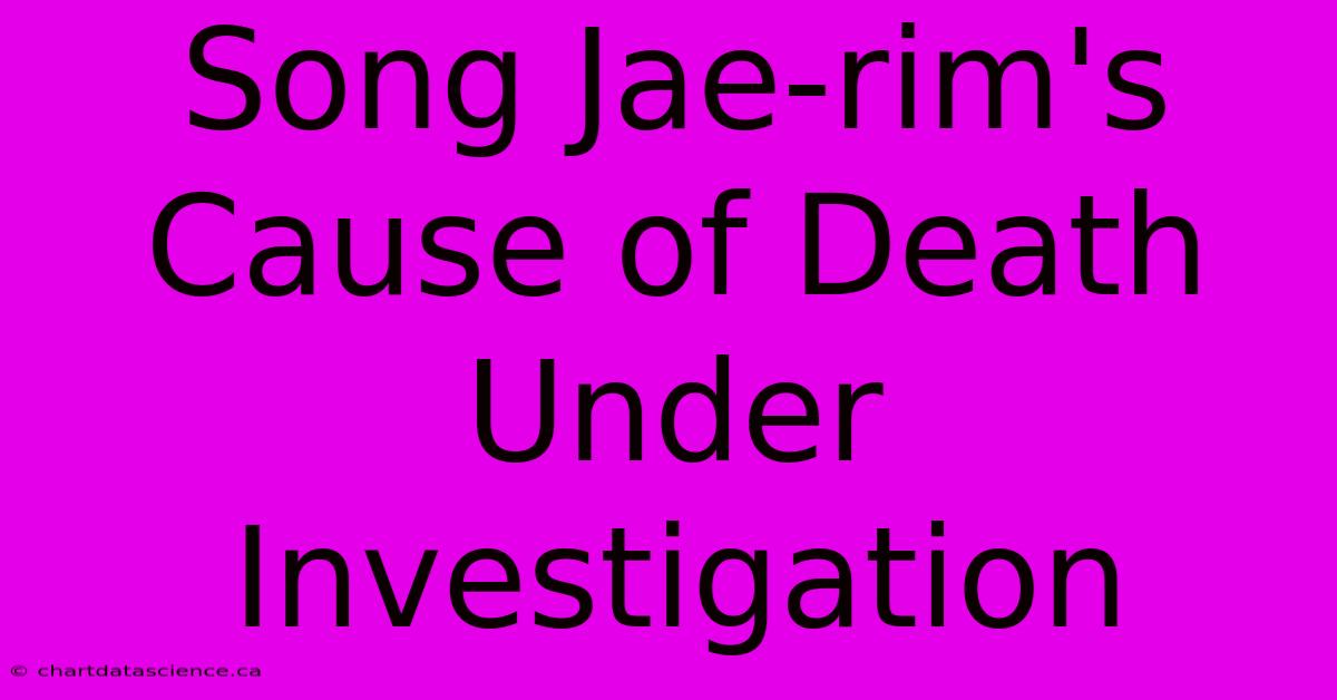 Song Jae-rim's Cause Of Death Under Investigation 