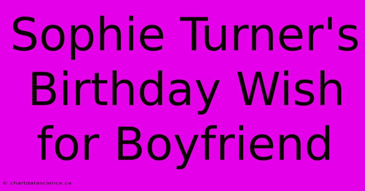 Sophie Turner's Birthday Wish For Boyfriend