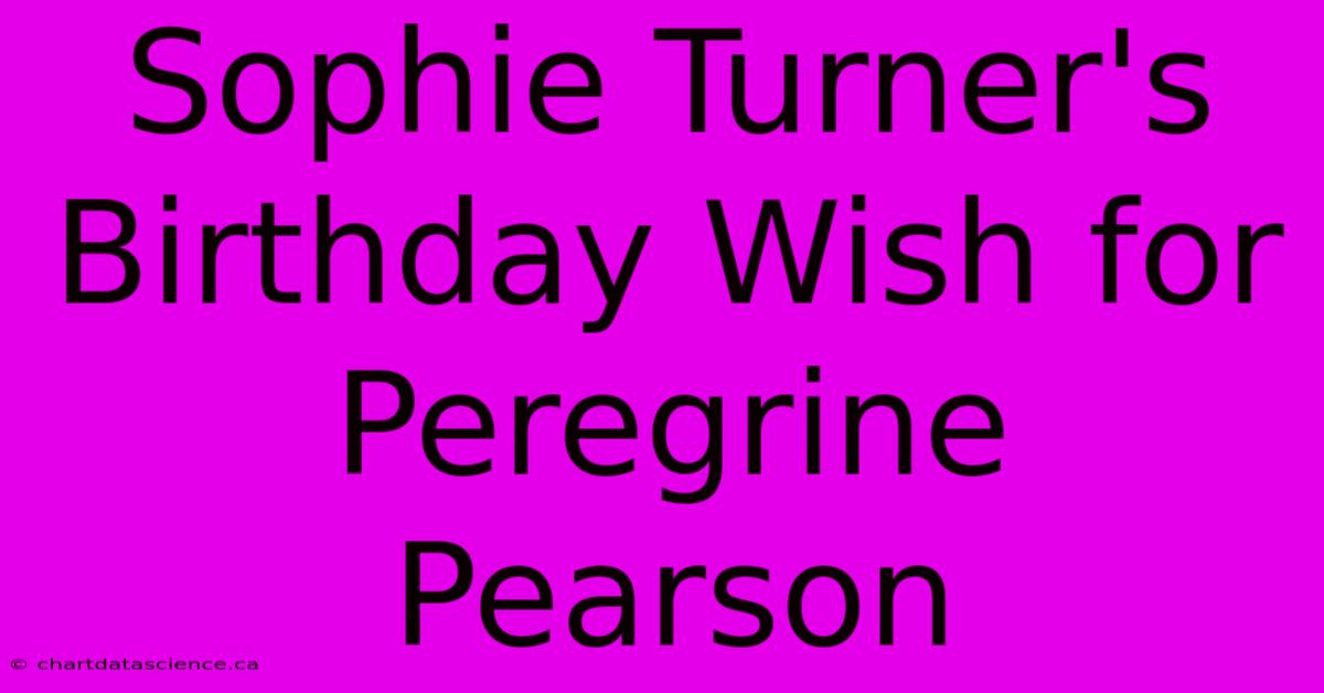 Sophie Turner's Birthday Wish For Peregrine Pearson 