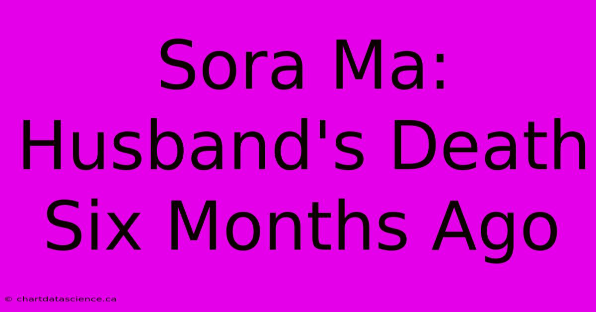 Sora Ma: Husband's Death Six Months Ago