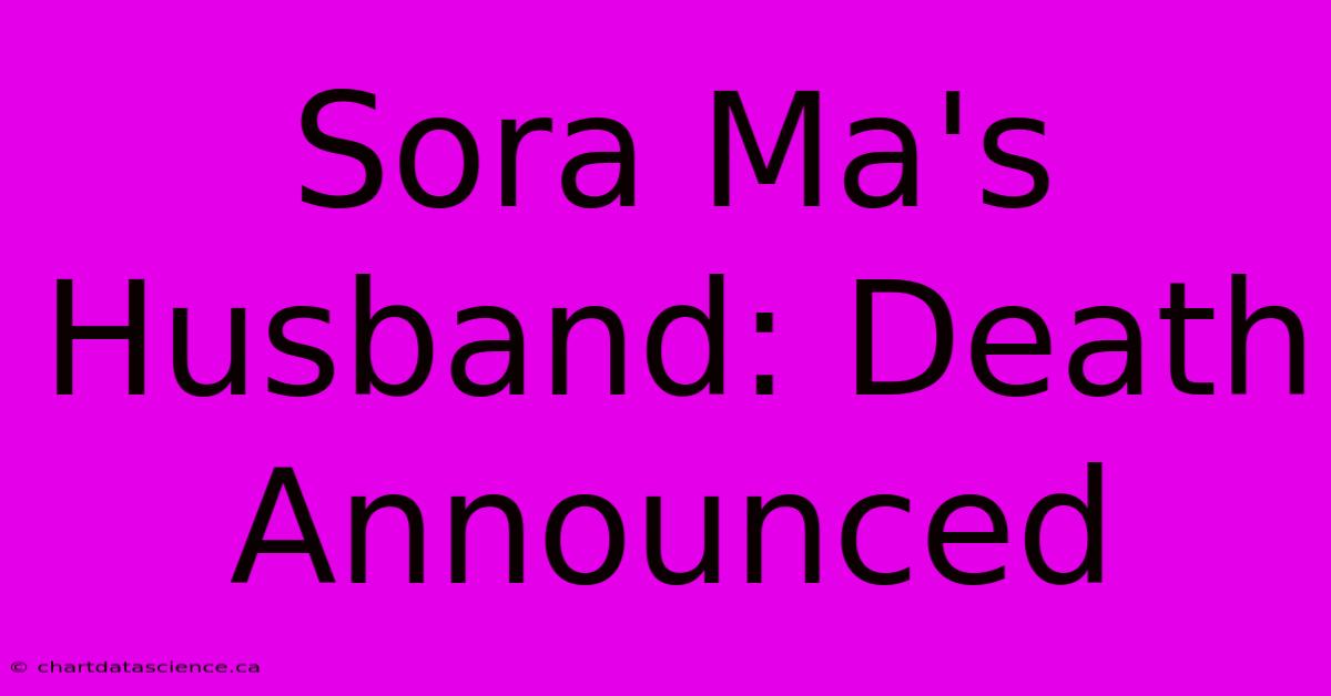 Sora Ma's Husband: Death Announced