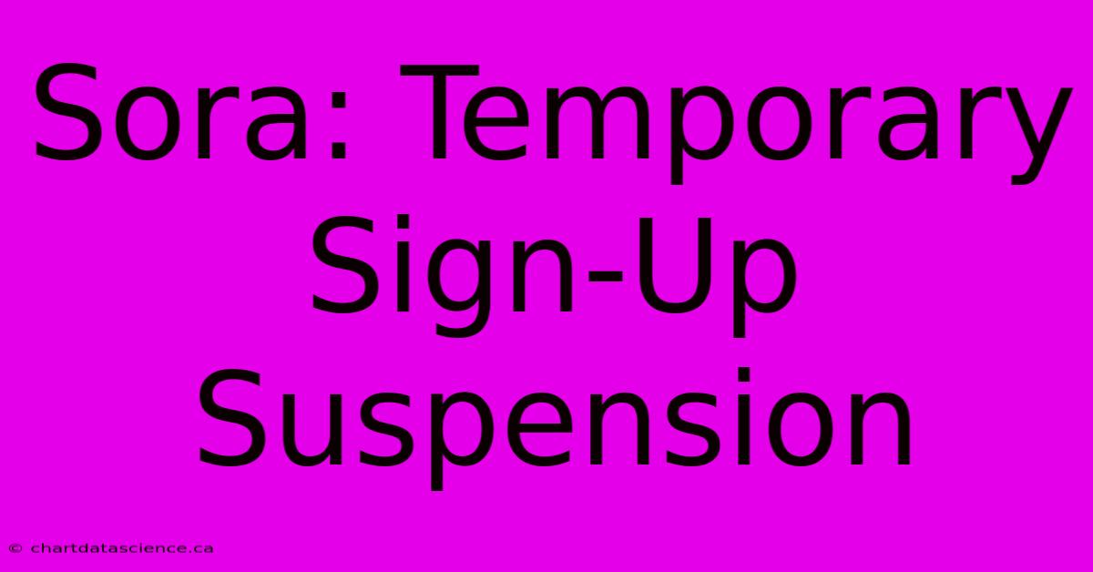 Sora: Temporary Sign-Up Suspension