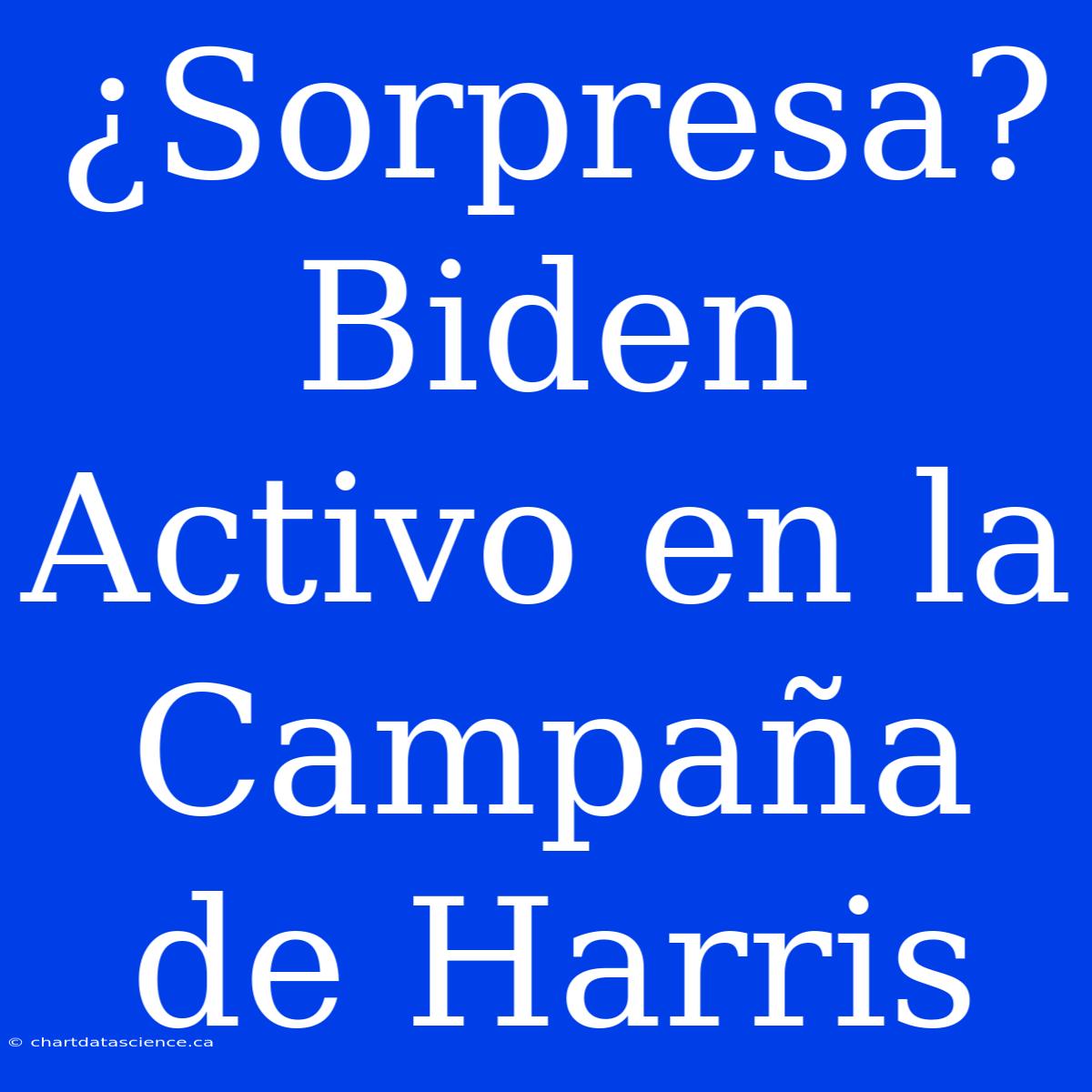 ¿Sorpresa? Biden Activo En La Campaña De Harris