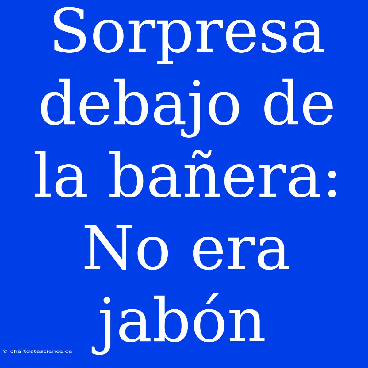 Sorpresa Debajo De La Bañera: No Era Jabón